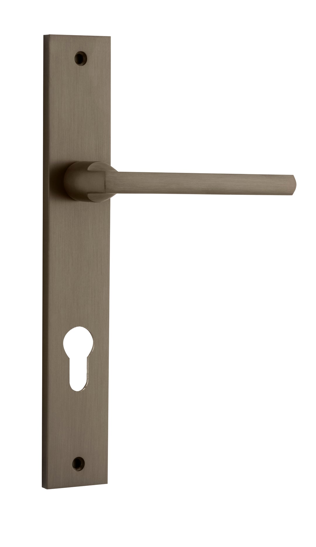 Baltimore Lever - Rectangular Backplate Signature Brass
