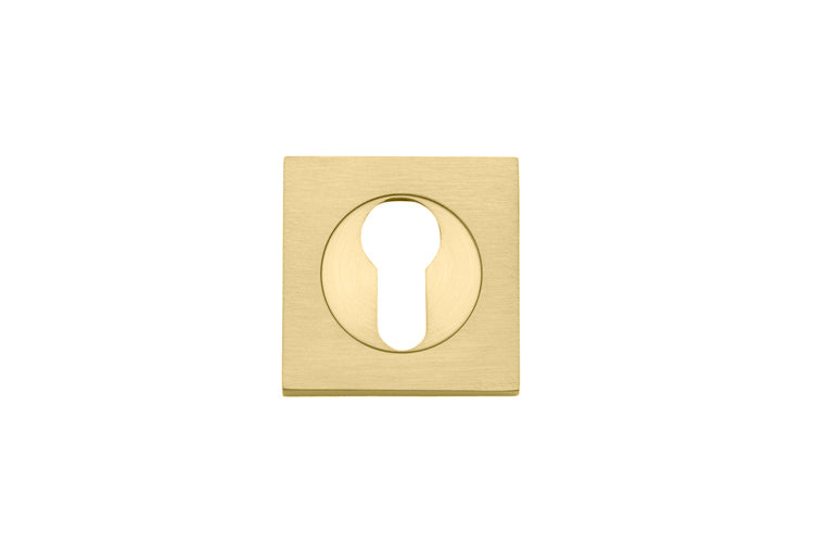 Euro Escutcheons -  Square Brushed Gold PVD