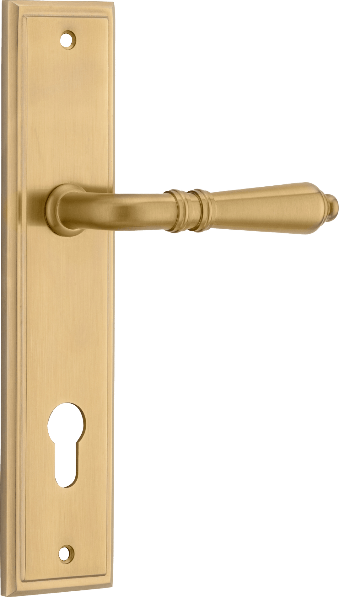 Sarlat Lever - Stepped Backplate Brushed Gold PVD