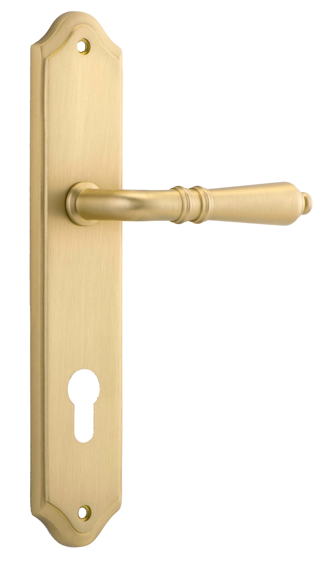 Sarlat Lever - Shouldered Backplate Brushed Gold PVD
