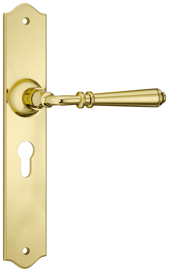 Door Lever Reims Euro Pair Polished Brass H240xW43xP70mm