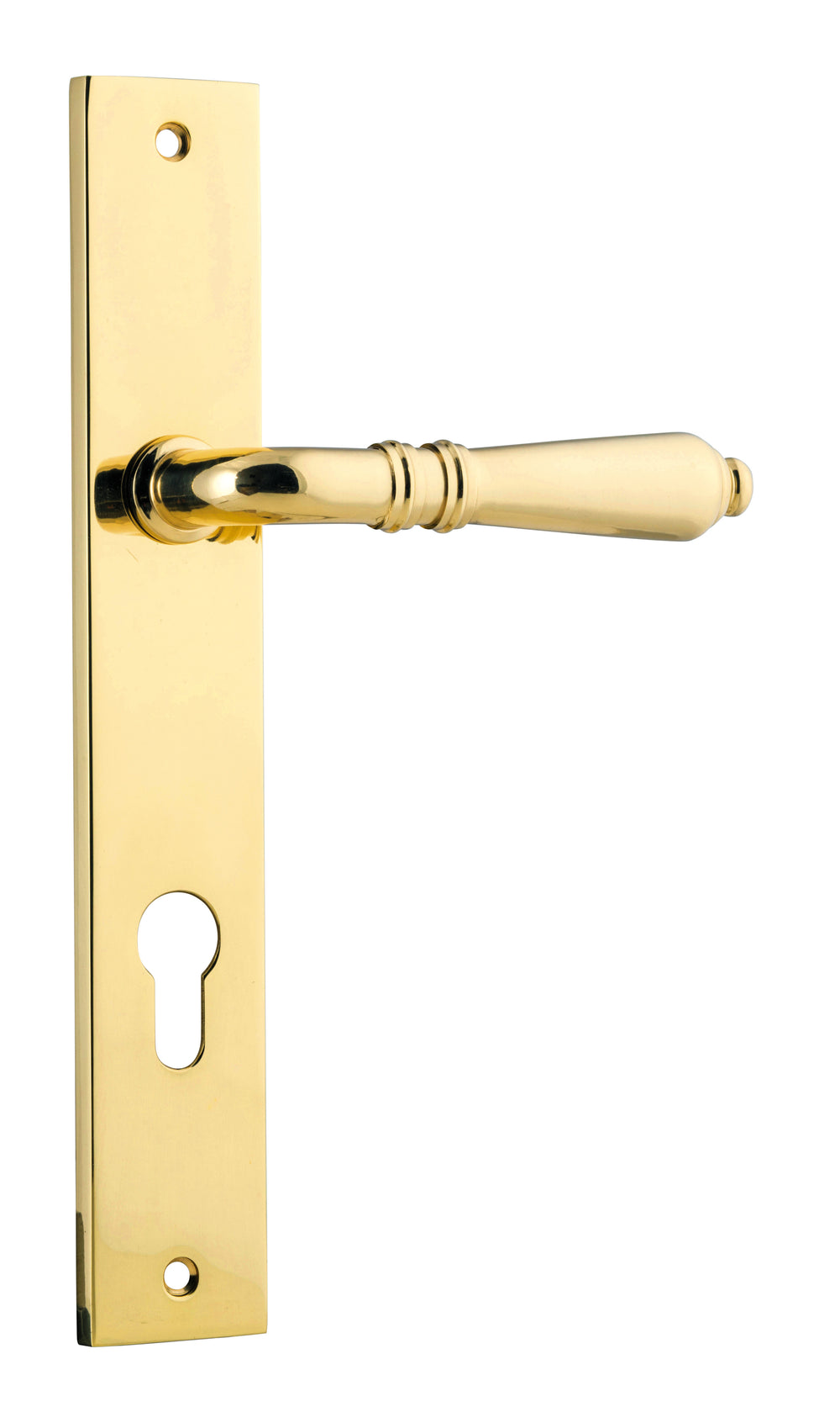Sarlat Lever - Rectangular Backplate Polished Brass