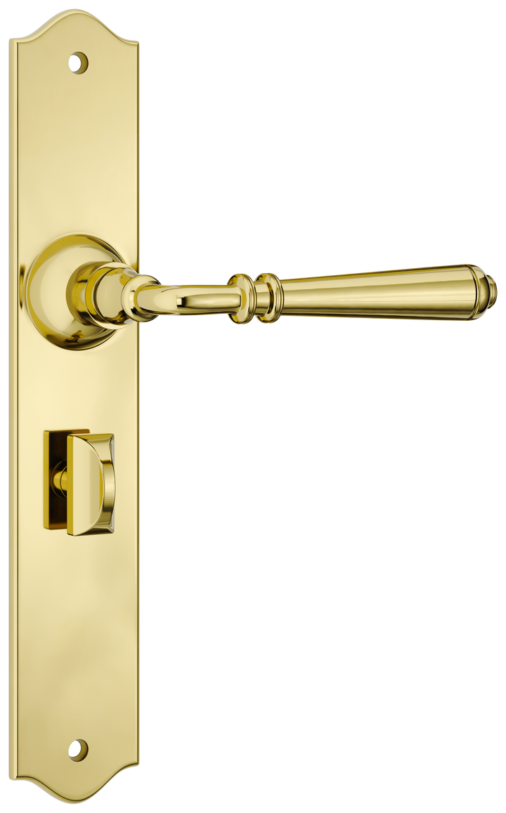 Door Lever Reims Privacy Pair Polished Brass H240xW43xP70mm with privacy adaptor