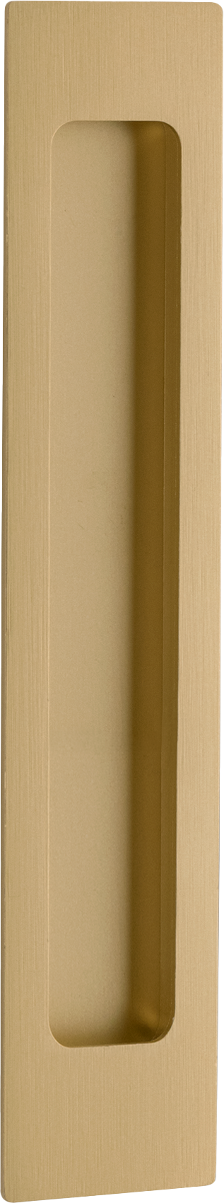 Rectangular Flush Pull Brushed Brass