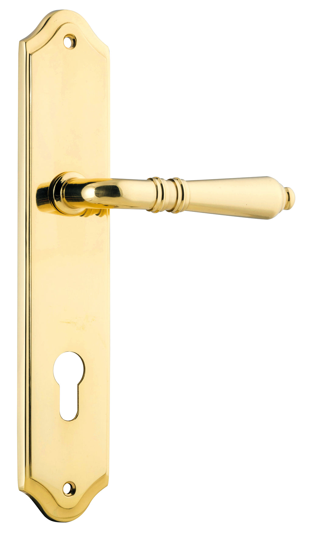 Sarlat Lever - Shouldered Backplate Polished Brass