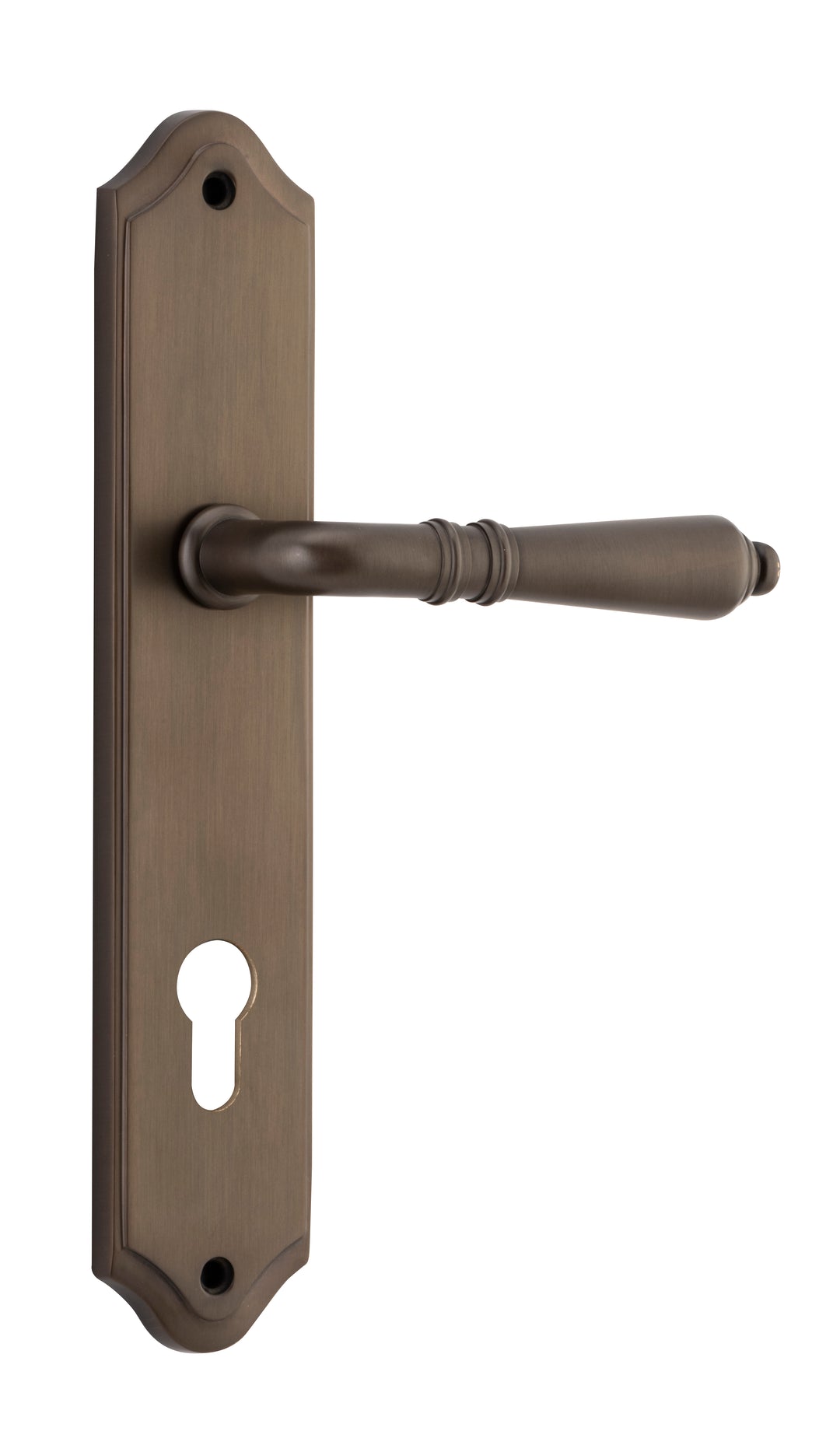 Sarlat Lever - Shouldered Backplate Signature Brass
