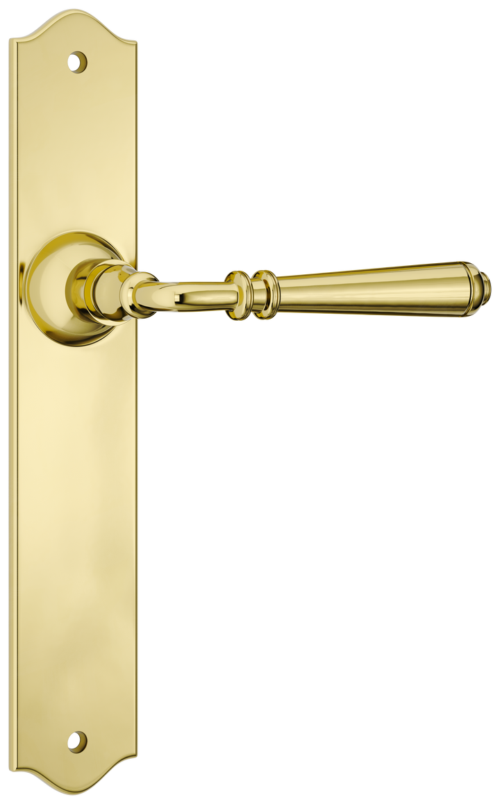 Door Lever Reims Latch Pair Polished Brass H240xW43xP70mm